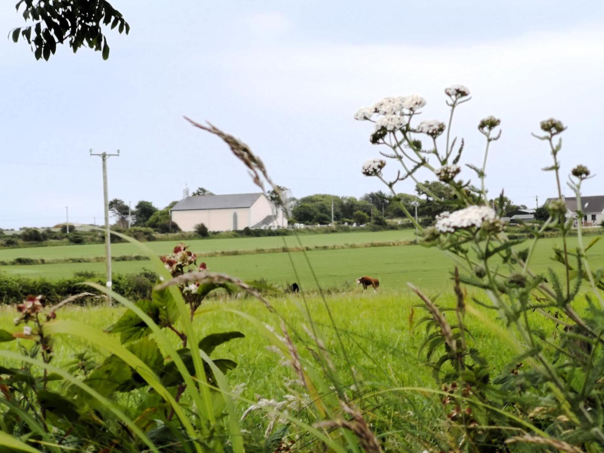 Roaringwater Stay Skibbereen Exteriör bild